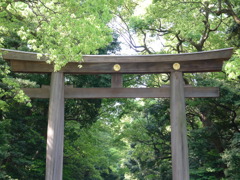 深緑の明治神宮