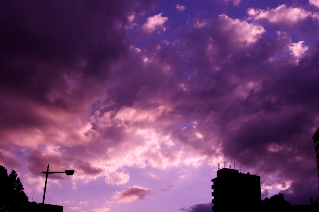 秋空　～車窓から～