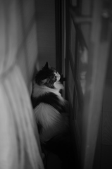 隠れる