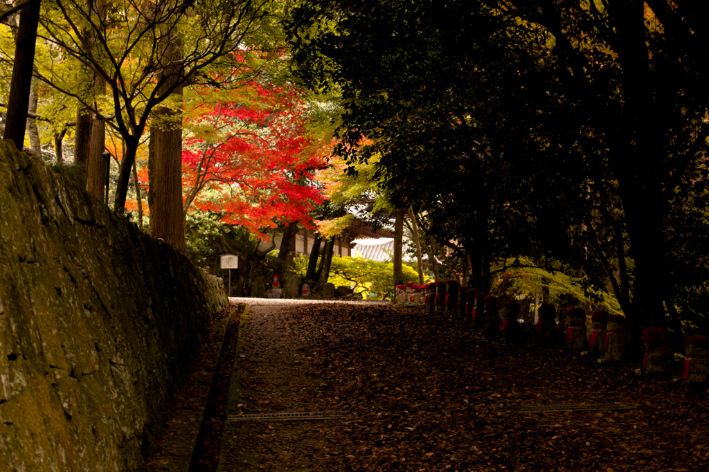 伽耶院参道