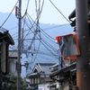 複雑な電線
