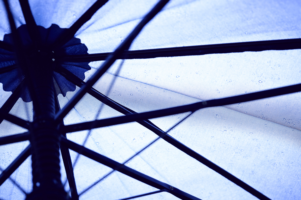 PARASOL