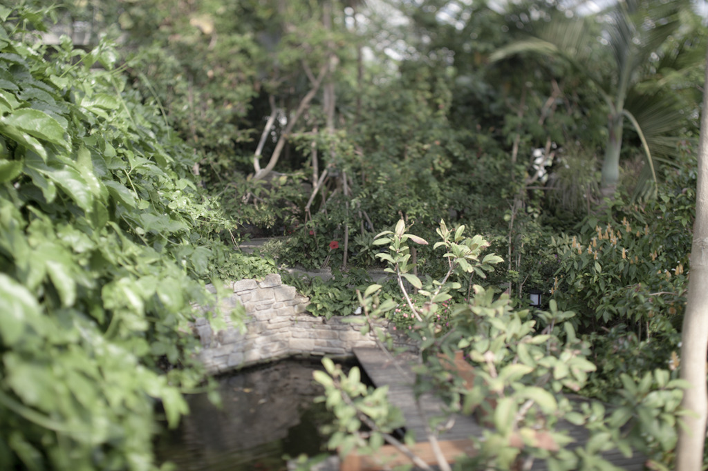 植物園にて2