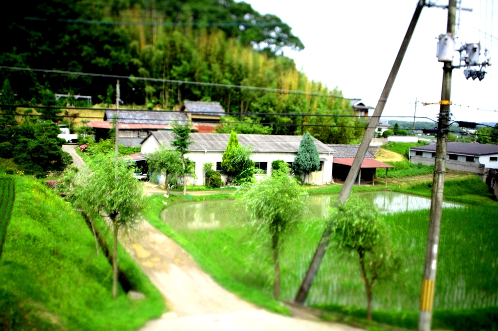 ミニチュア風のつもりが…