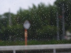 雨