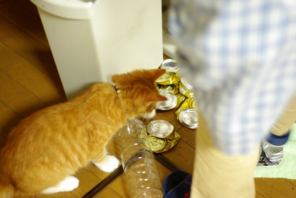 潰すの手伝うよ