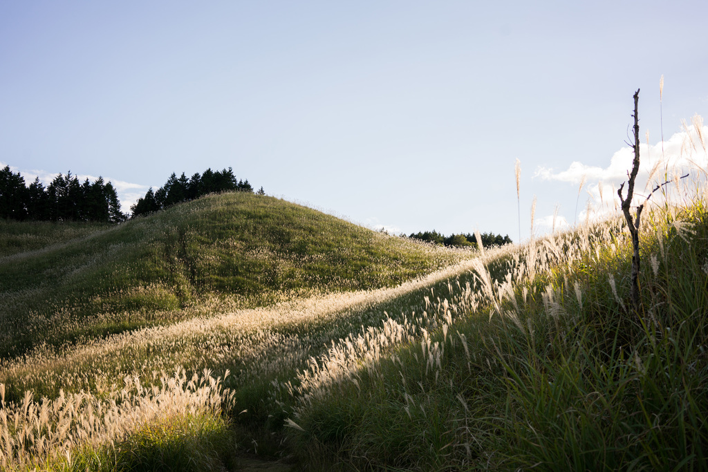 砥峰高原9