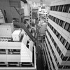 谷
