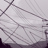 複雑な電線