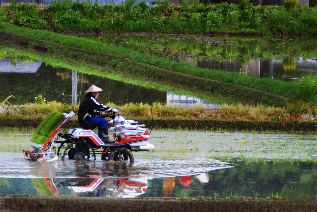 雨にも負けず