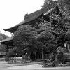 雨上がりの天照寺