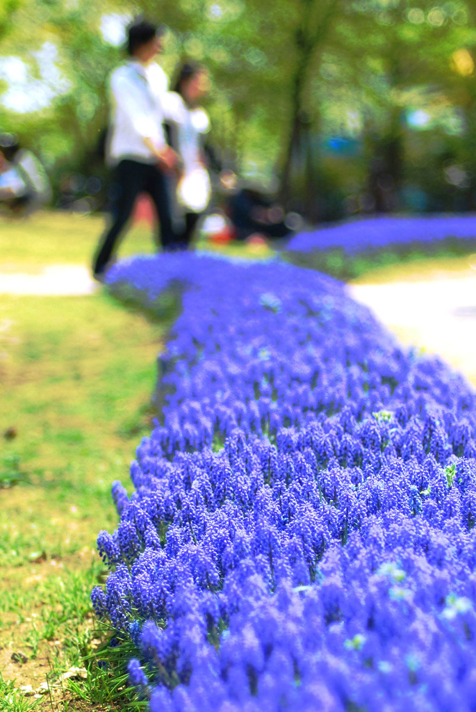 Romantic Blue