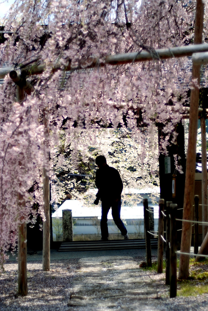 希望への招待状