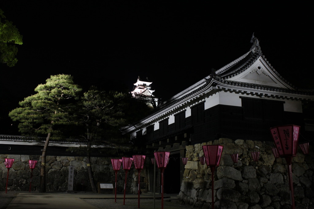 夜の高知城