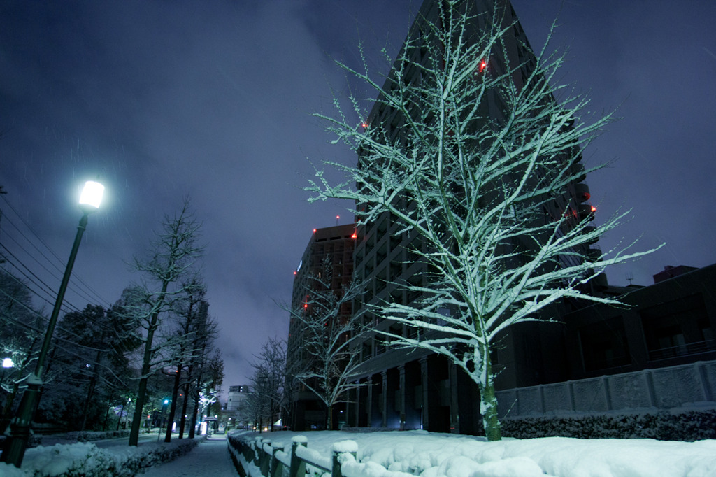 雪降る夜