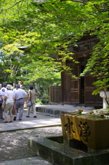 木陰