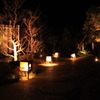 夜の庭