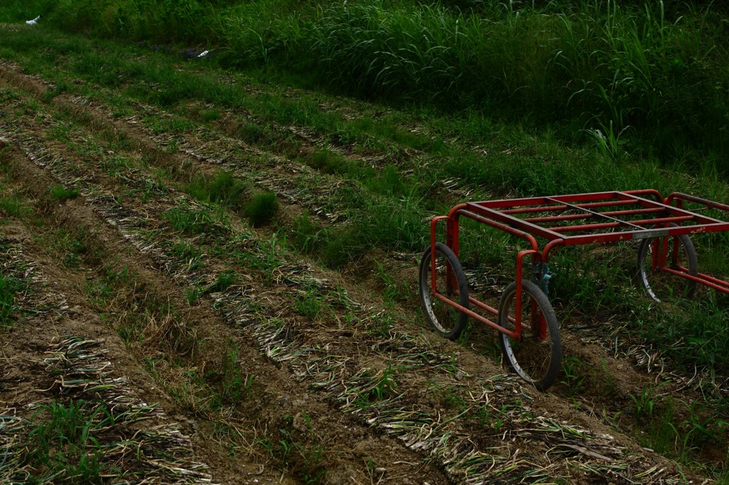 Farmer