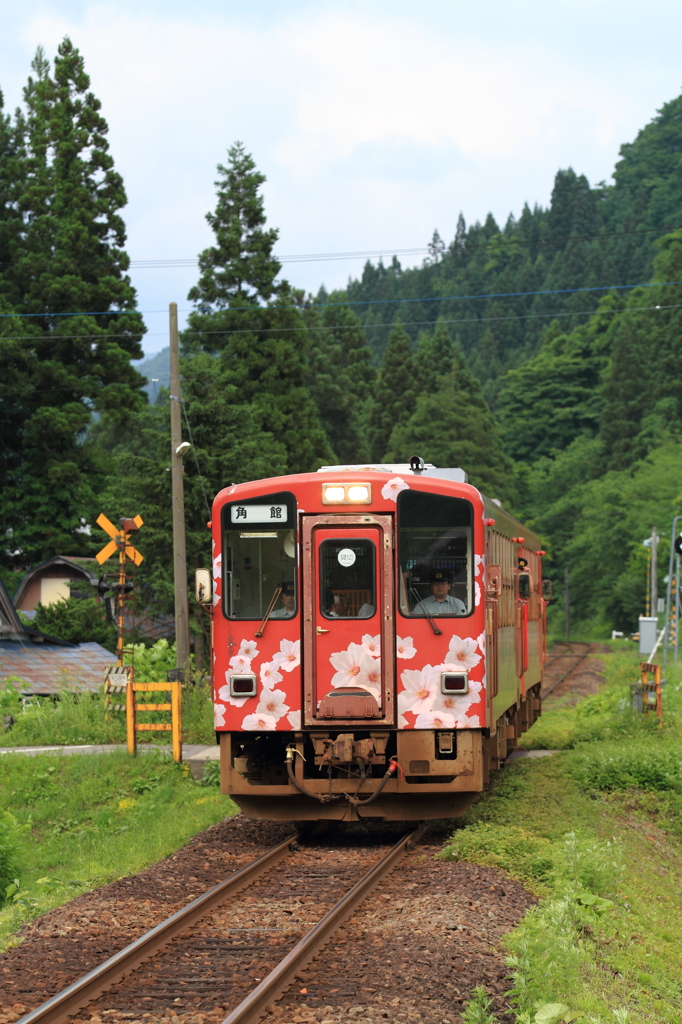 お座敷列車登場