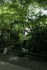 うさぎ