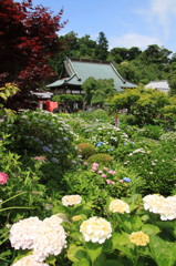 本勝寺