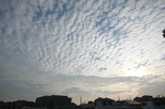 朝雲