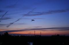 IMG_9407