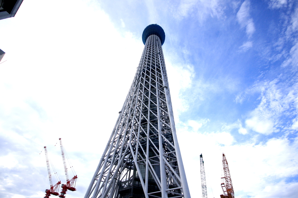 Skytree