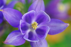 SMC-A　MACRO2