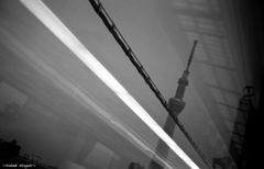 通りすがりPhoto
