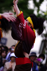 御堂筋みなこい２