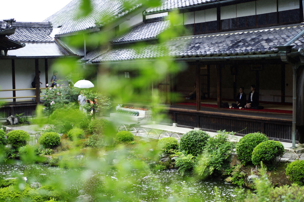 小雨の芙蓉池