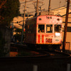 染まる電車