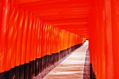 朱の世界