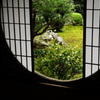 茶室から望む庭
