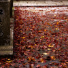 紅染橋