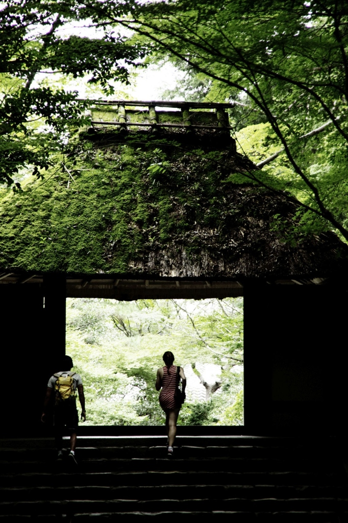 法然院・夏