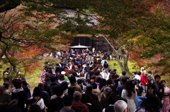 今日の南禅寺はこんな感じです