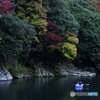 色づき始めた嵐山