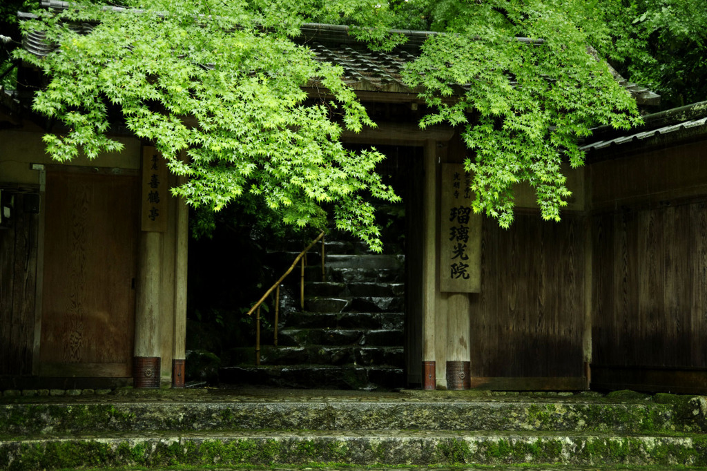 雨の瑠璃光院