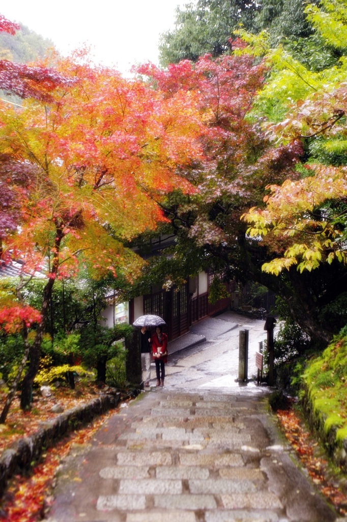 雨の化野