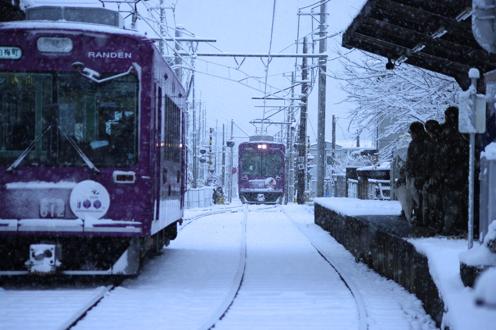 雪と紫