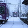 雪と紫