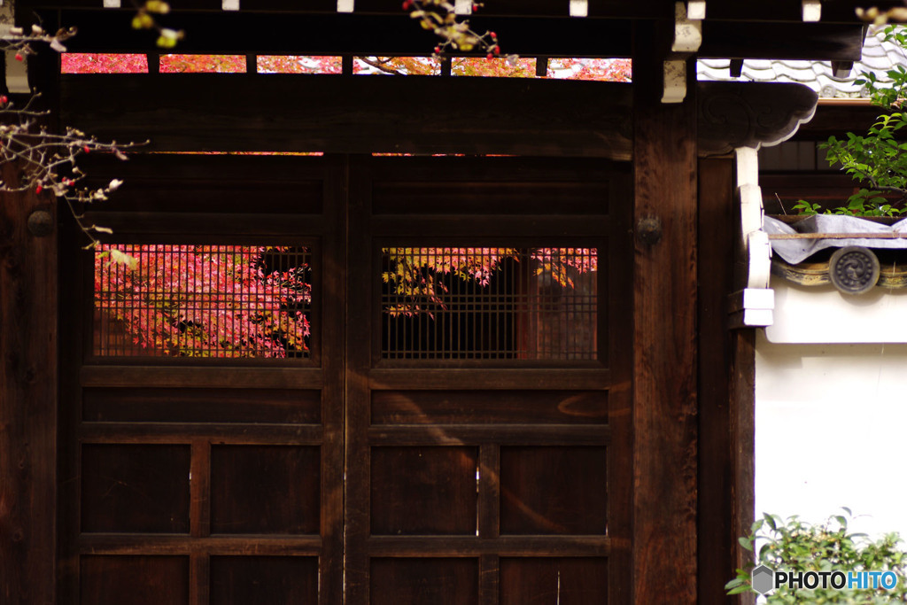 真如堂の紅葉