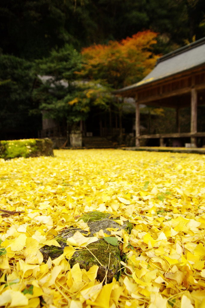 落葉神社～終章