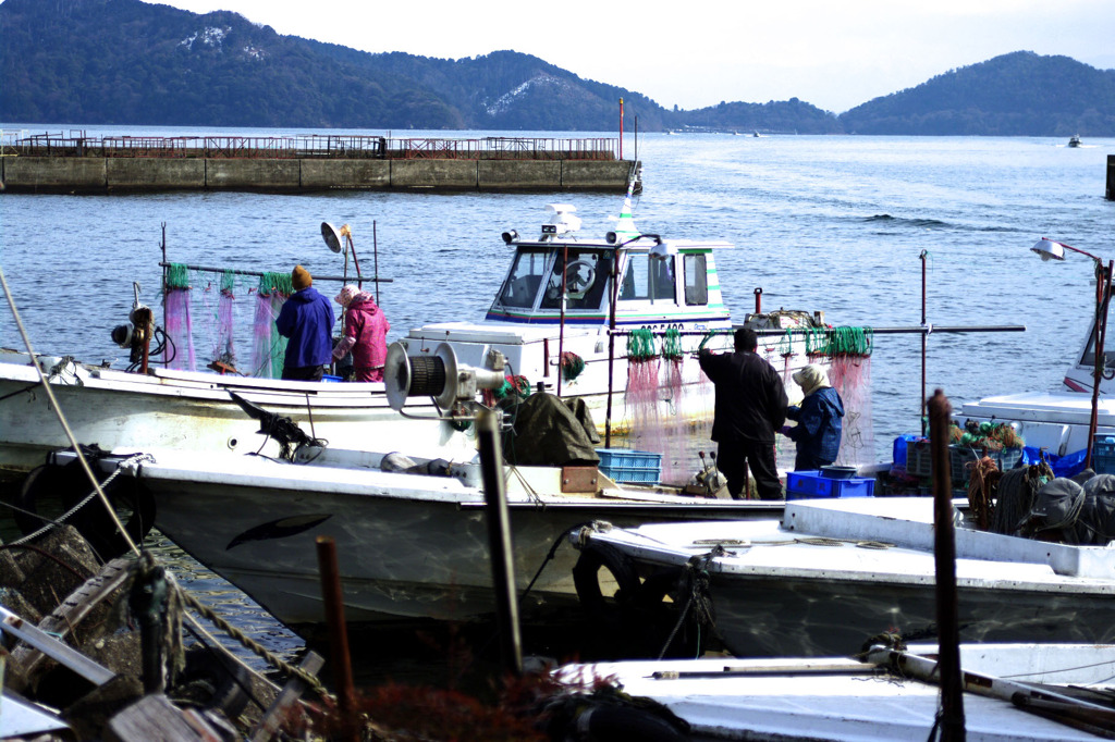 島の日常2
