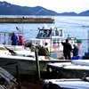 島の日常2