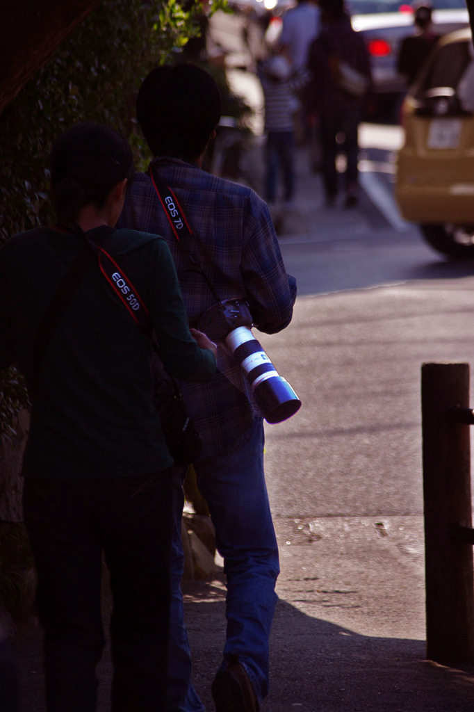 7Dx50D