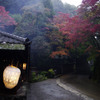 雨の奥嵯峨野Ⅲ