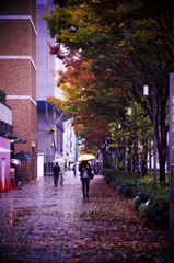 yellow umbrella